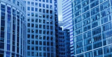 Immobiliare Usa 2010...