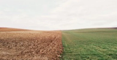 Rivalutazione Terren...