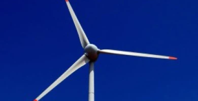 Scopri Se Conviene F...