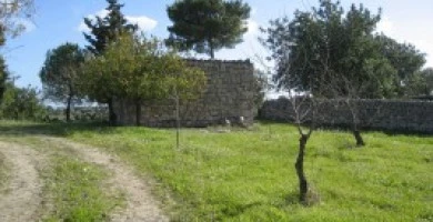 Fabbricati Rurali No...