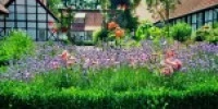 Pulire Il Giardino
