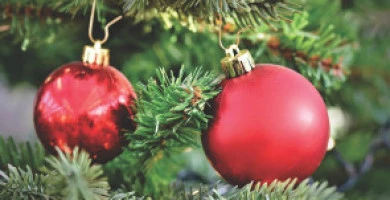 Decorazioni Natalizi...