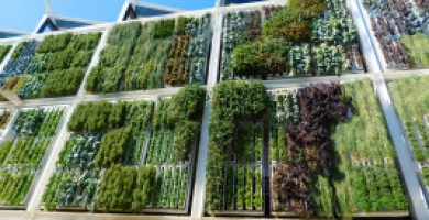 Edilizia Anti Smog C...