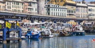 Quotazioni Immobilia...