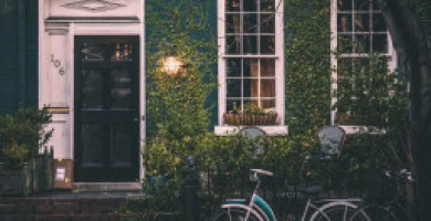 Quali Sono Le Tenden...