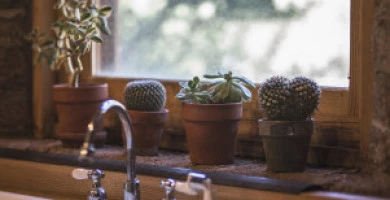 Pulizia Domestica Ec...