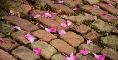 Rinnovare Pavimenti ...