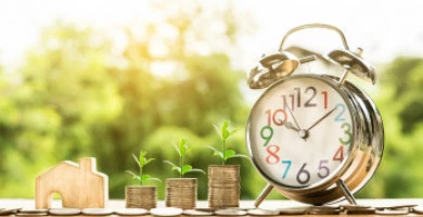 Il Mutuo Chirografar...