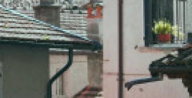 Guida Al Bonifico Pe...