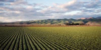 Aziende Agricole In ...