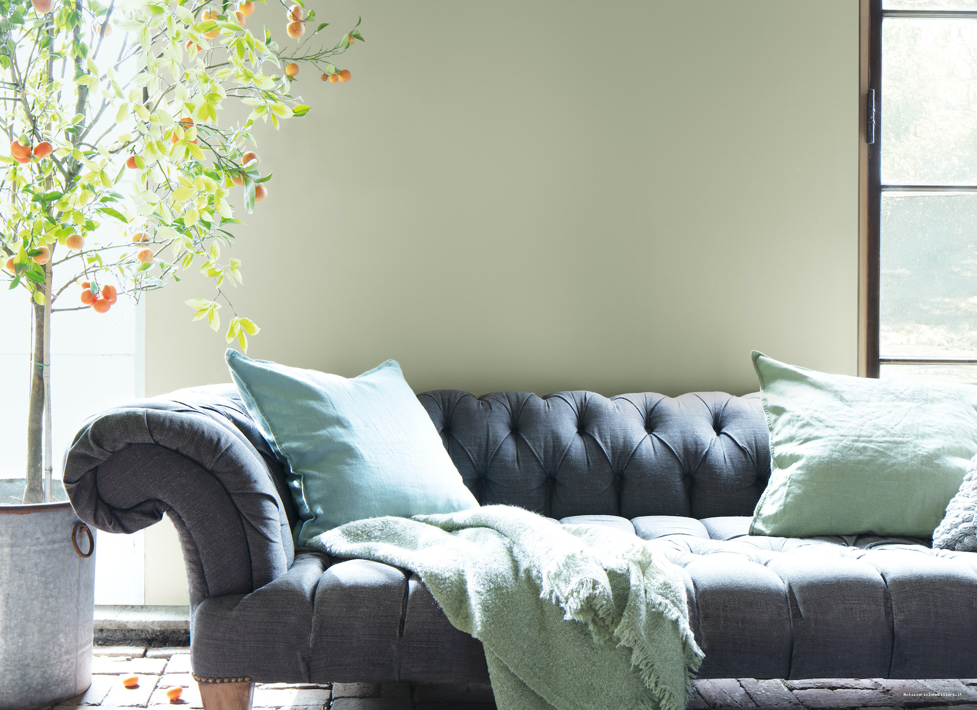 Vernice verde salvia in soggiorno con divano antracite