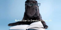 Animali Domestici Al...