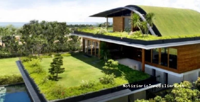 Tetti Verdi Installa...