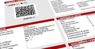 Visura Camerale Cos'...