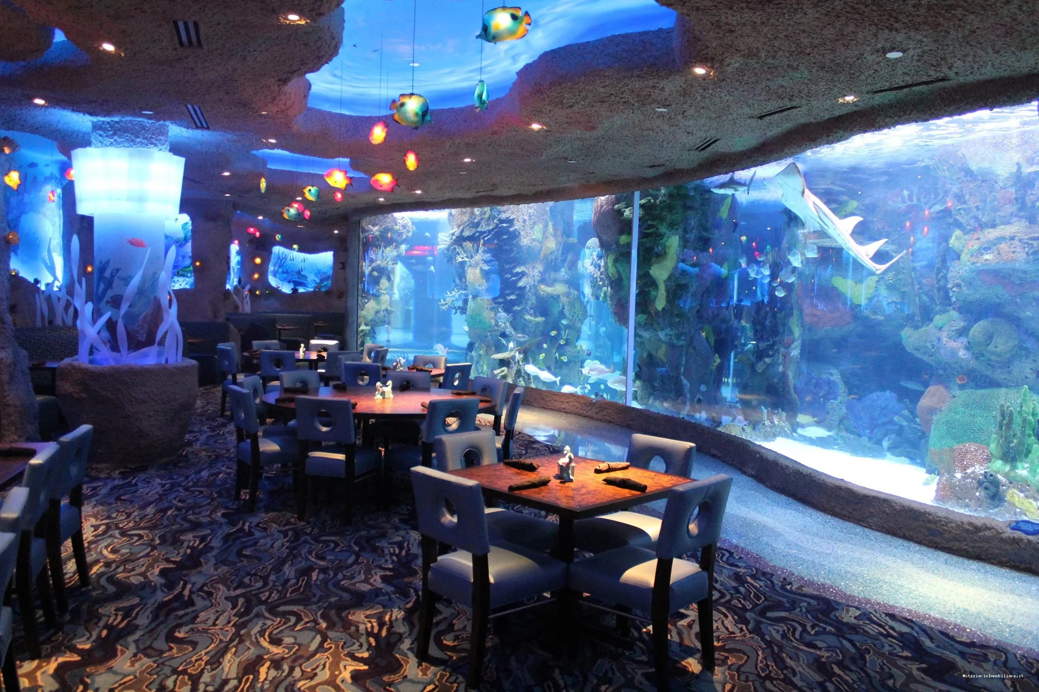 Risotrante sotto acqua Aquarium - Nashville, USA 