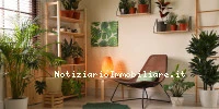Piante Da Appartamen...