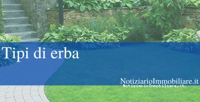 Tipi Di Erba Ecco Co...