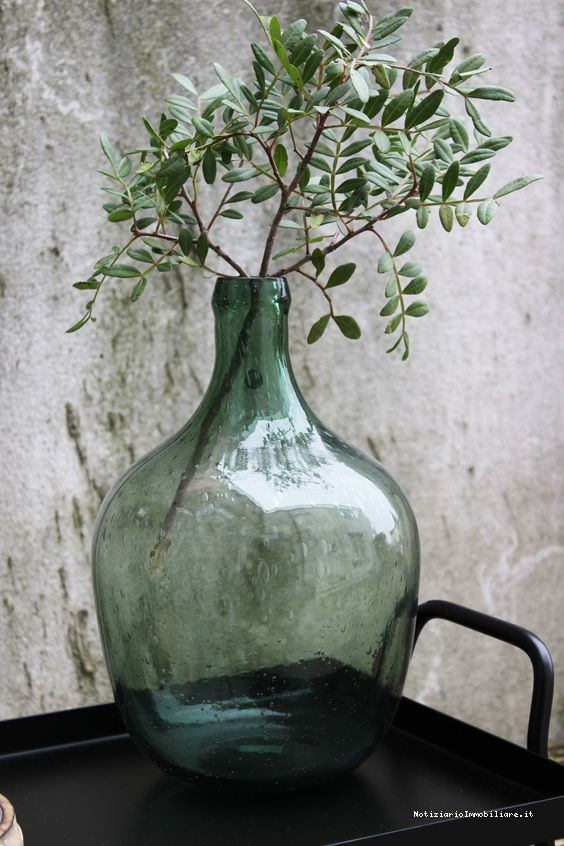 damigiana in vetro verde con pianta con funzione da vaso