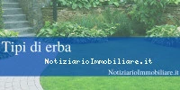 Tipi Di Erba Ecco Co...