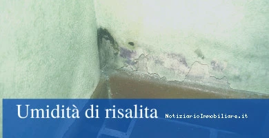 Umidit  Di Risalita ...