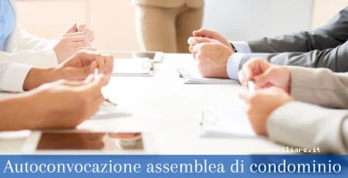 Autoconvocazione Ass...