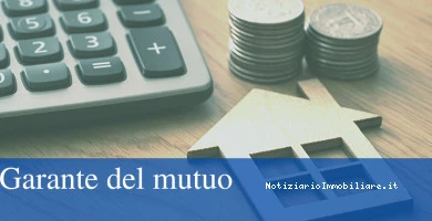 Garante Mutuo Requis...