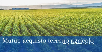 Mutuo Per L'acquisto...