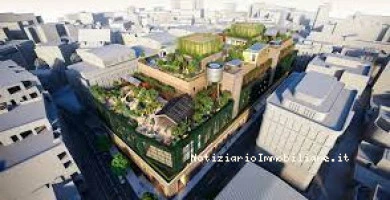 Roots In The Sky La ...