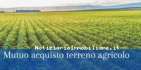 Mutuo Per L'acquisto...