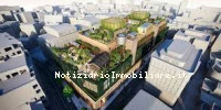 Roots In The Sky La ...