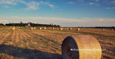 Prezzo Terreno Agric...