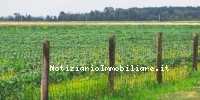 Normativa Sulle Reci...