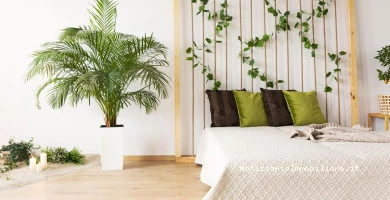 Arredamento Camera D...