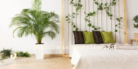 Arredamento Camera D...