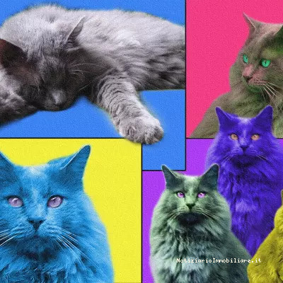 grafica pop art con gatti