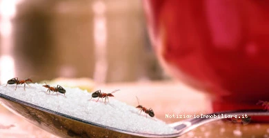 Eliminare Definitiva...