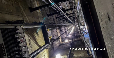 Vanella Condominiale...