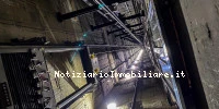 Vanella Condominiale...