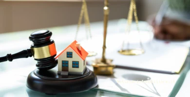 Detrazione Degli Int...