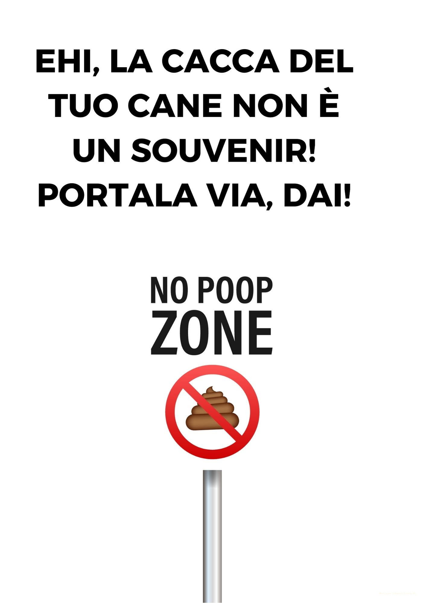 ehi la cacca del tuo cane non è un souvenir! portala via, dai!