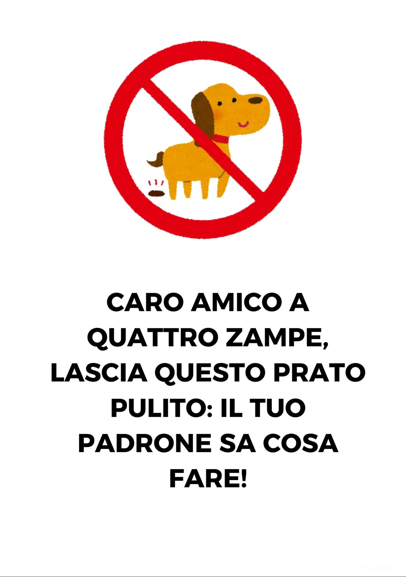 Caro amico a quattro zampe, lascia questo prato pulito: il tuo padrone sa cosa fare!
