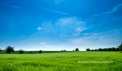 Superficie fondiaria: definizione, calcolo e differenze