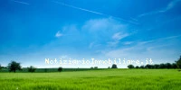 Superficie Fondiaria...