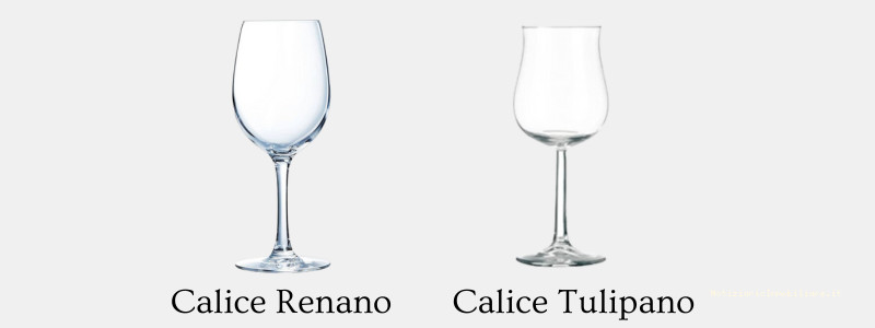 Calici per vino bianco renano e tulipano