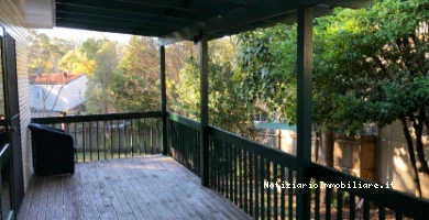 Come Denunciare Un A...