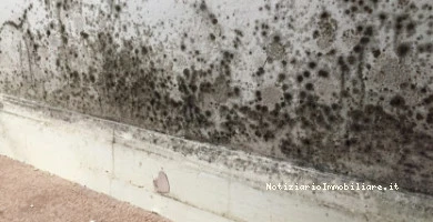 Domodry La Soluzione...