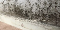 Domodry La Soluzione...
