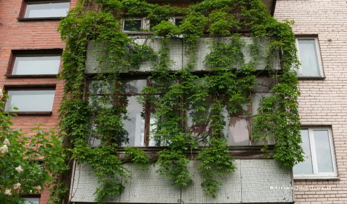 Siepe sul balcone in condominio: regole, permessi e soluzioni