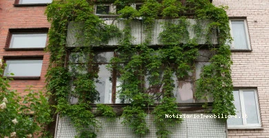 Siepe Sul Balcone In...