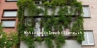 Siepe Sul Balcone In...